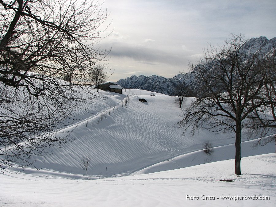 16 Per andare in cascina.jpg